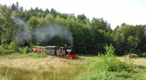 Read more about the article Abreschviller Forest Railway